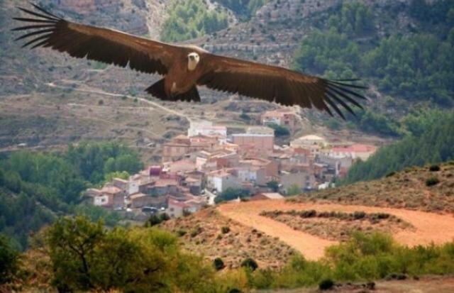 Apartamento Rural La Cascada De Calmarza Eksteriør billede